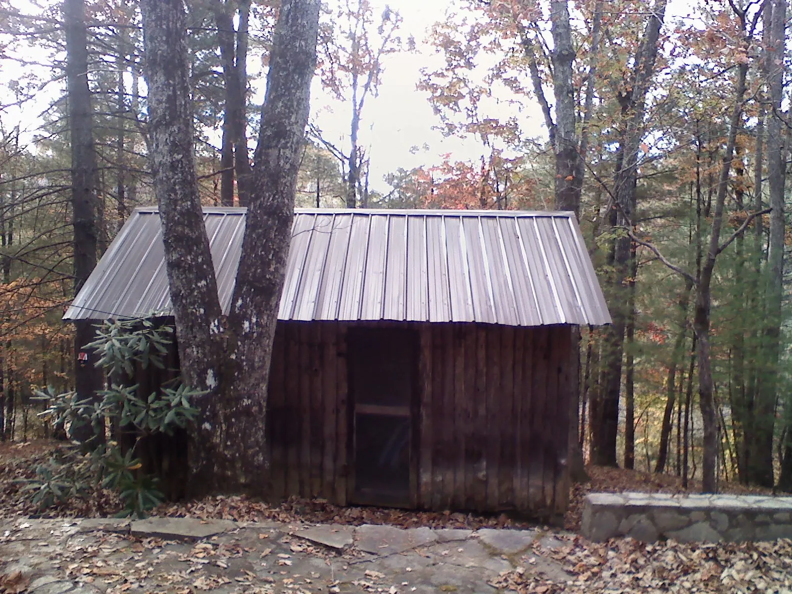 New metal gable roof on a small log shed among the trees in Wheatland