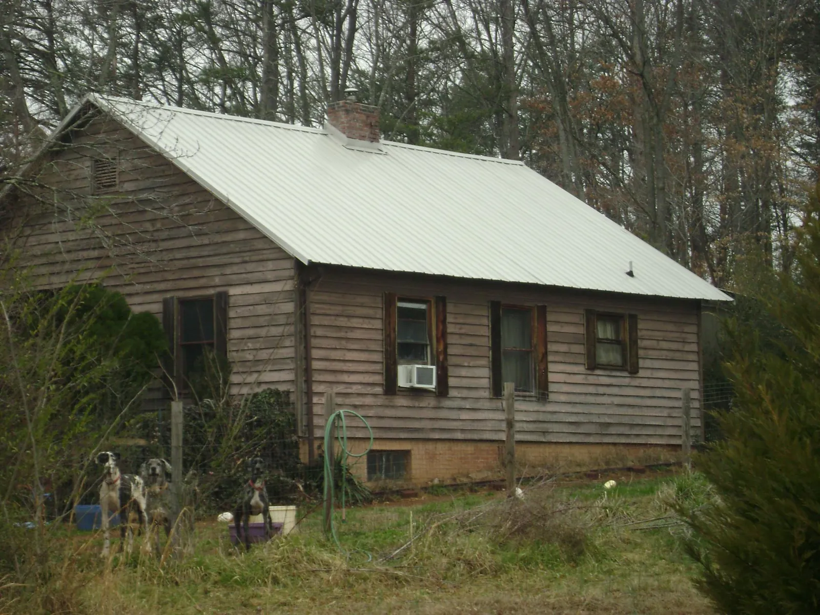 White metal roof on an old wood sided farmhouse, from a Asphalt Shingle Roof Repair job in Wheatland